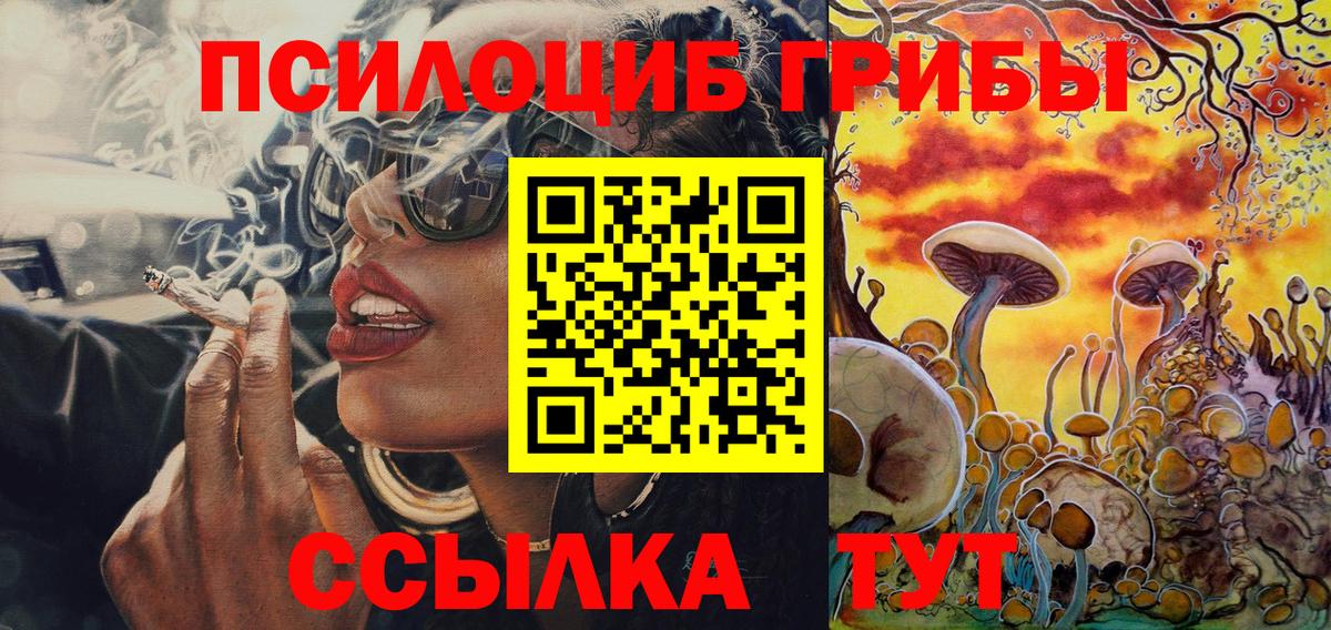 Южноуральск  Галлюциногенные грибы Cubensis  Вход с VPN 