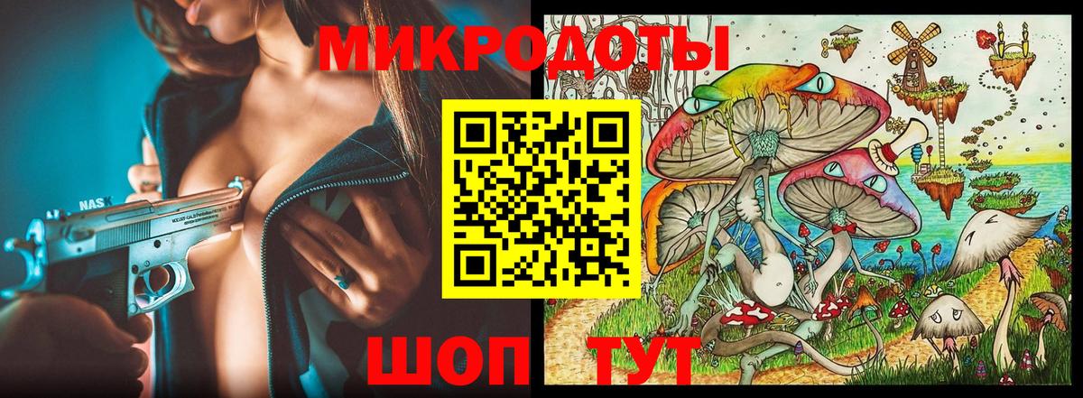 Псилоцибиновые грибы Psilocybe Южноуральск